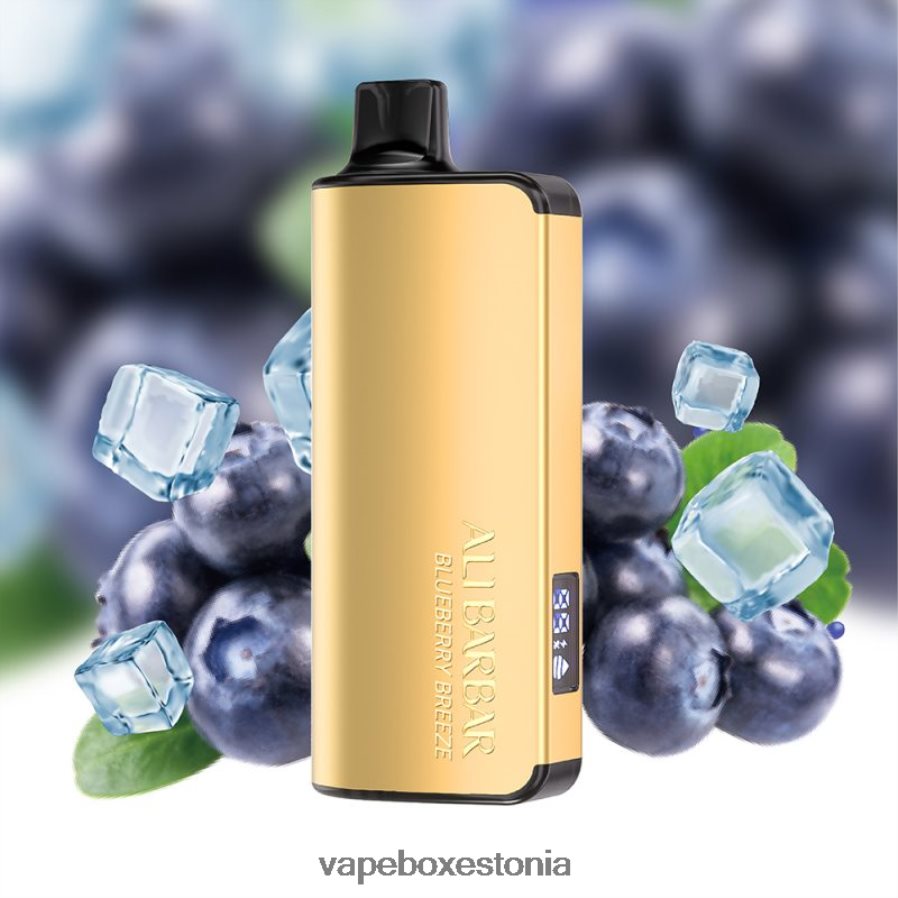 Vape Liquid - Alibarbar Ingot 20 000 ühekordselt kasutatav vape mustikatuul ZPF6T232