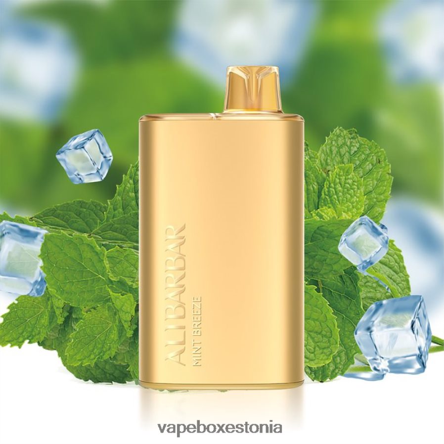 Vape Liquid - Alibarbar Rich 8000 ühekordset vape piparmündituul ZPF6T28