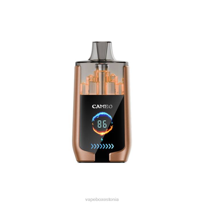 Disposable Vape Eesti - kohvi jää 82LZ18 LAVIE CAMEO 30 000 pahvi