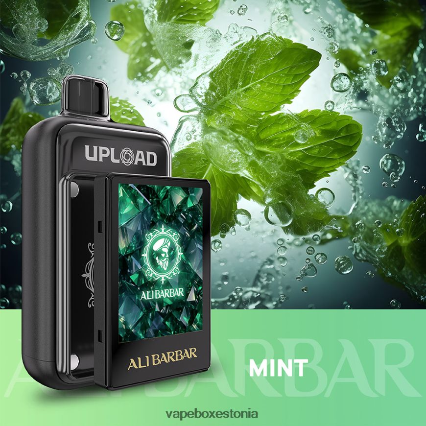 Disposable Vape Eesti - piparmünt N4Z4FB24 Alibarbar üles laadida