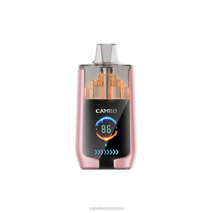 Vape Eesti - troopilised puuviljad 82LZ19 LAVIE CAMEO 30 000 pahvi