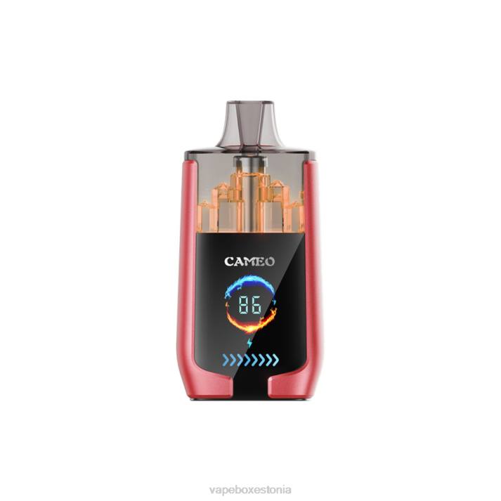 Vape Liquid - arbuusi jää 82LZ14 LAVIE CAMEO 30 000 pahvi